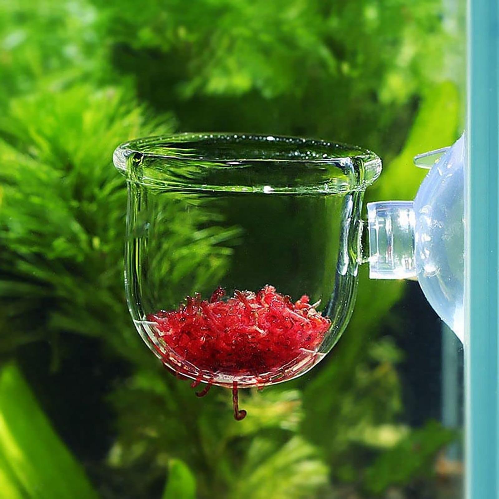 Aquarium Fish Beautiful - Держатель для растений в аквариуме, прозрачные