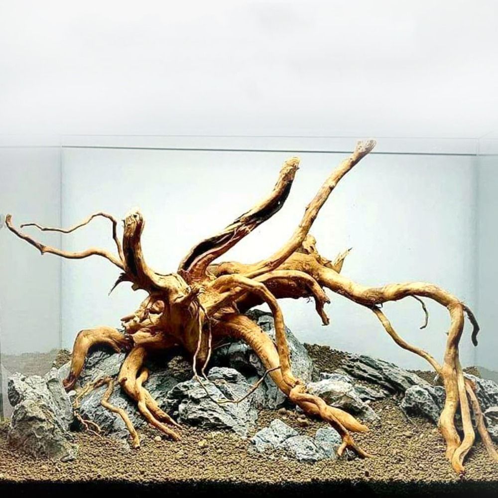 Aquarium Xxl - Декоративный пней для аквариума 20-25 см,