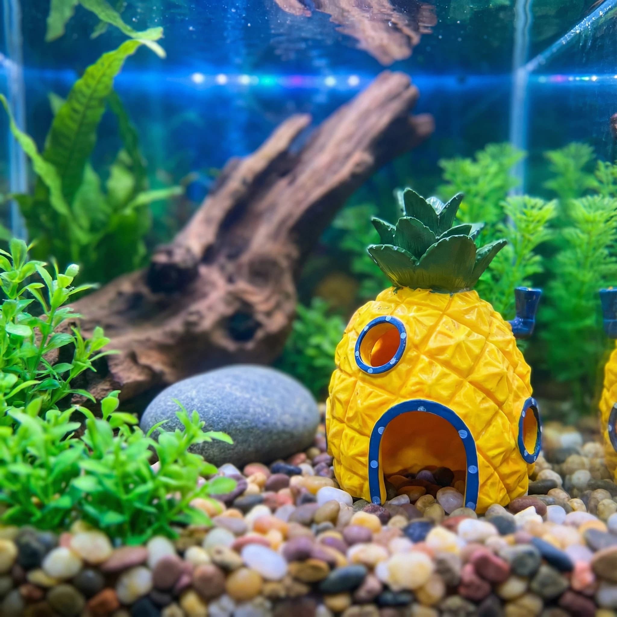 Aquarium Fish Games - Декор для аквариума «Ананасовый домик», экологически