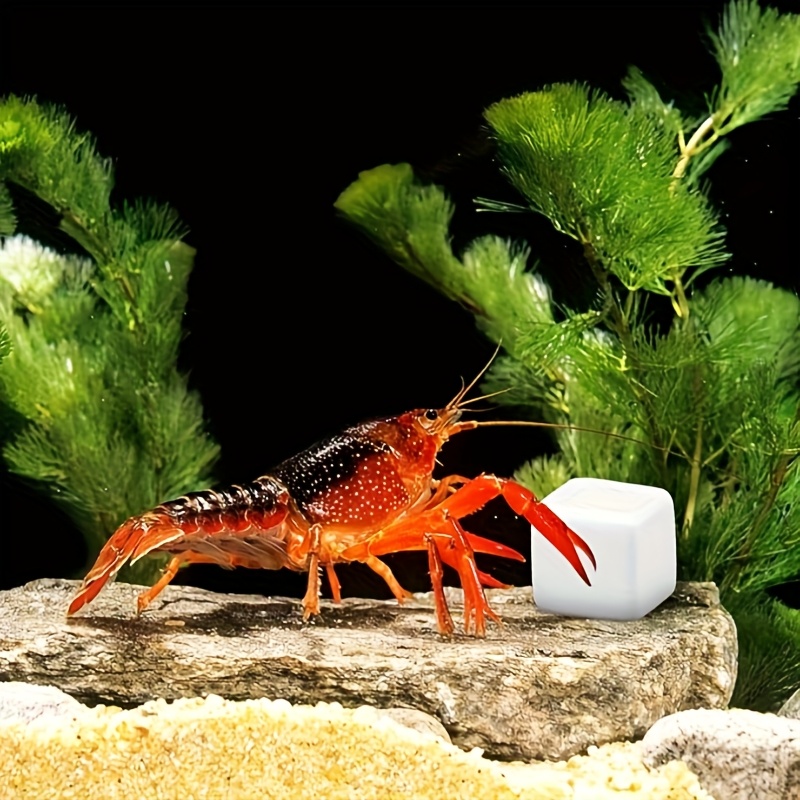 Aquarium Fish Games - 6 шт., аквариум, кальциевый блок, минералы,
