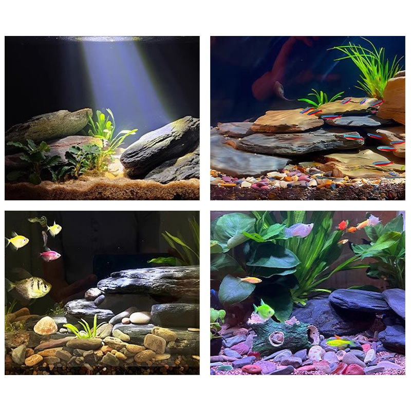 Набор камней для аквариума 500 – обзор и цена Aquarium Fish Saltwater