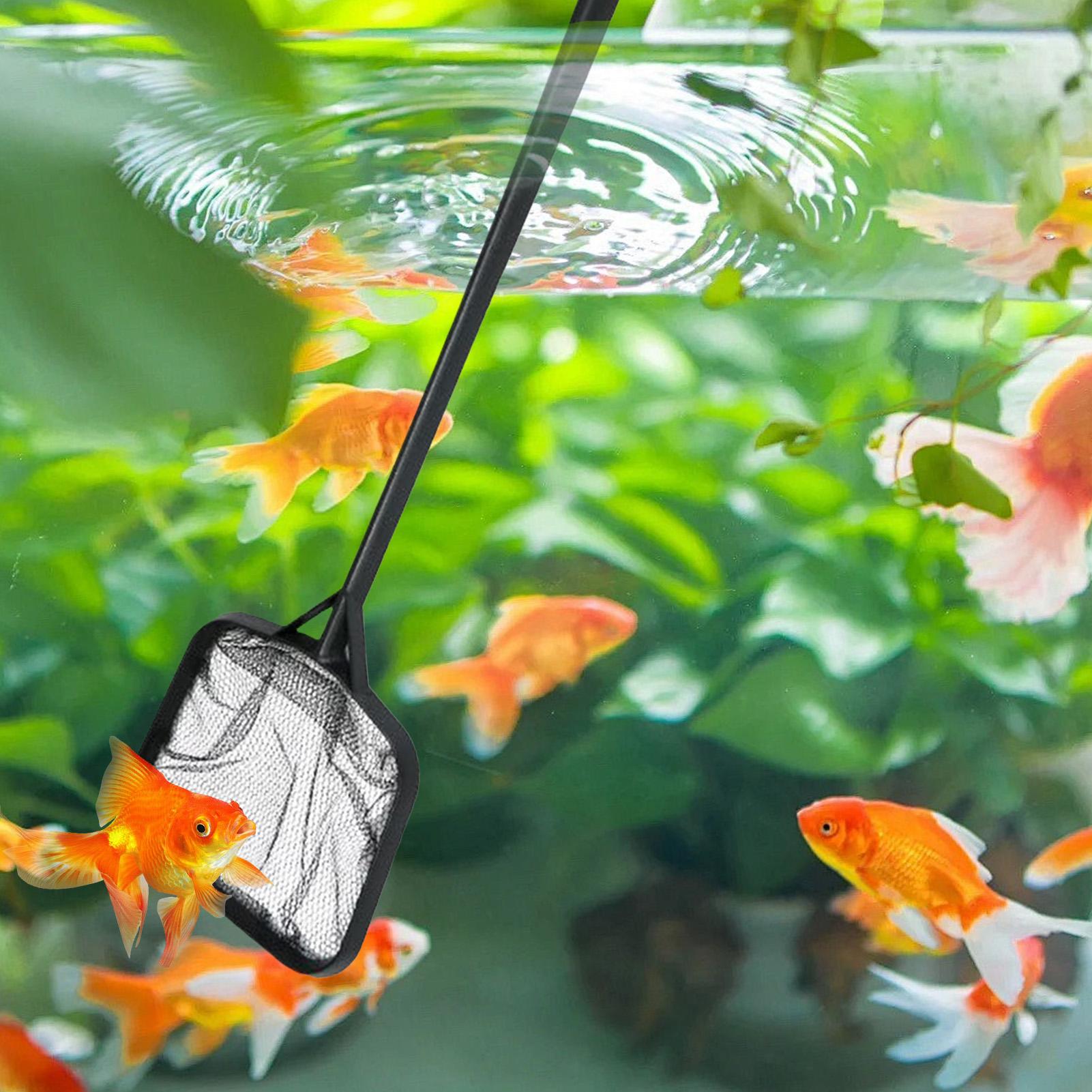 Сетки для чистки бассейнов, по – обзор и цена Aquarium Fish Maintenance