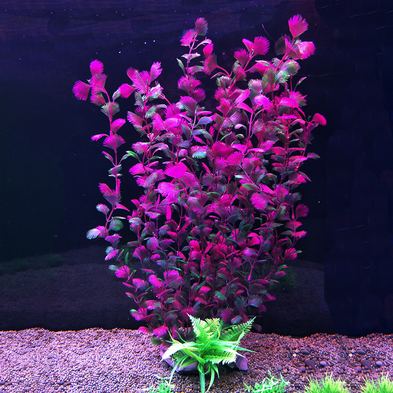 52 см искусственный аквариум р – обзор и цена Aquarium Fish Beautiful