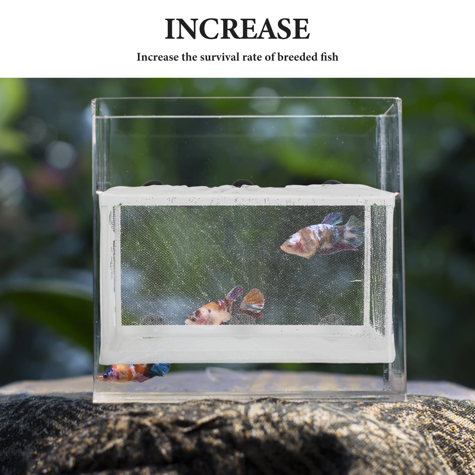 Сетка для рыбы, инкубатор для  – обзор и цена Aquarium Fish Net Big Size