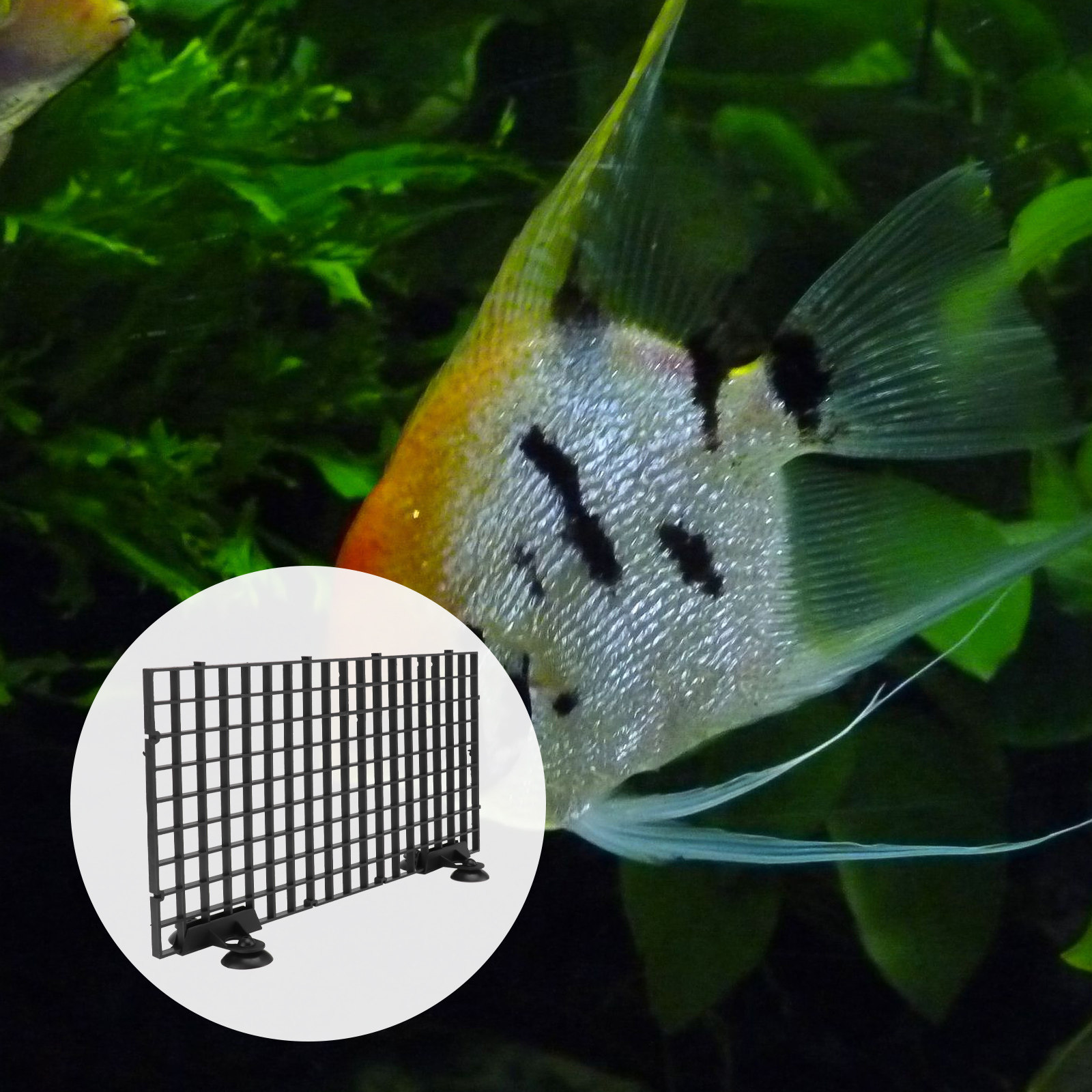 Сетка для разведения рыбы, бол – обзор и цена Aquarium Fish Net Big Size