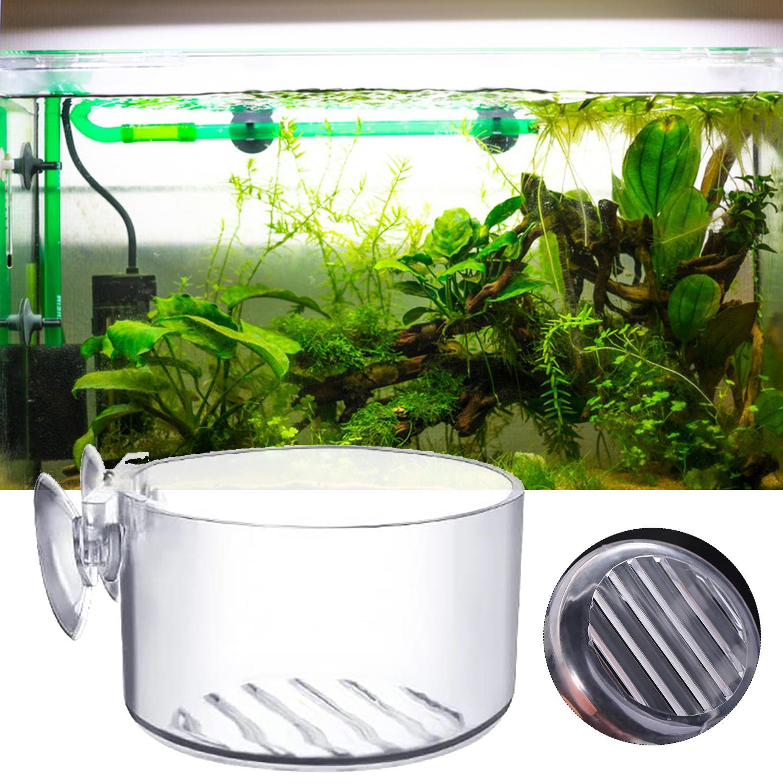 Акриловый стакан-горшок для ак – обзор и цена Aquarium Fish Beautiful