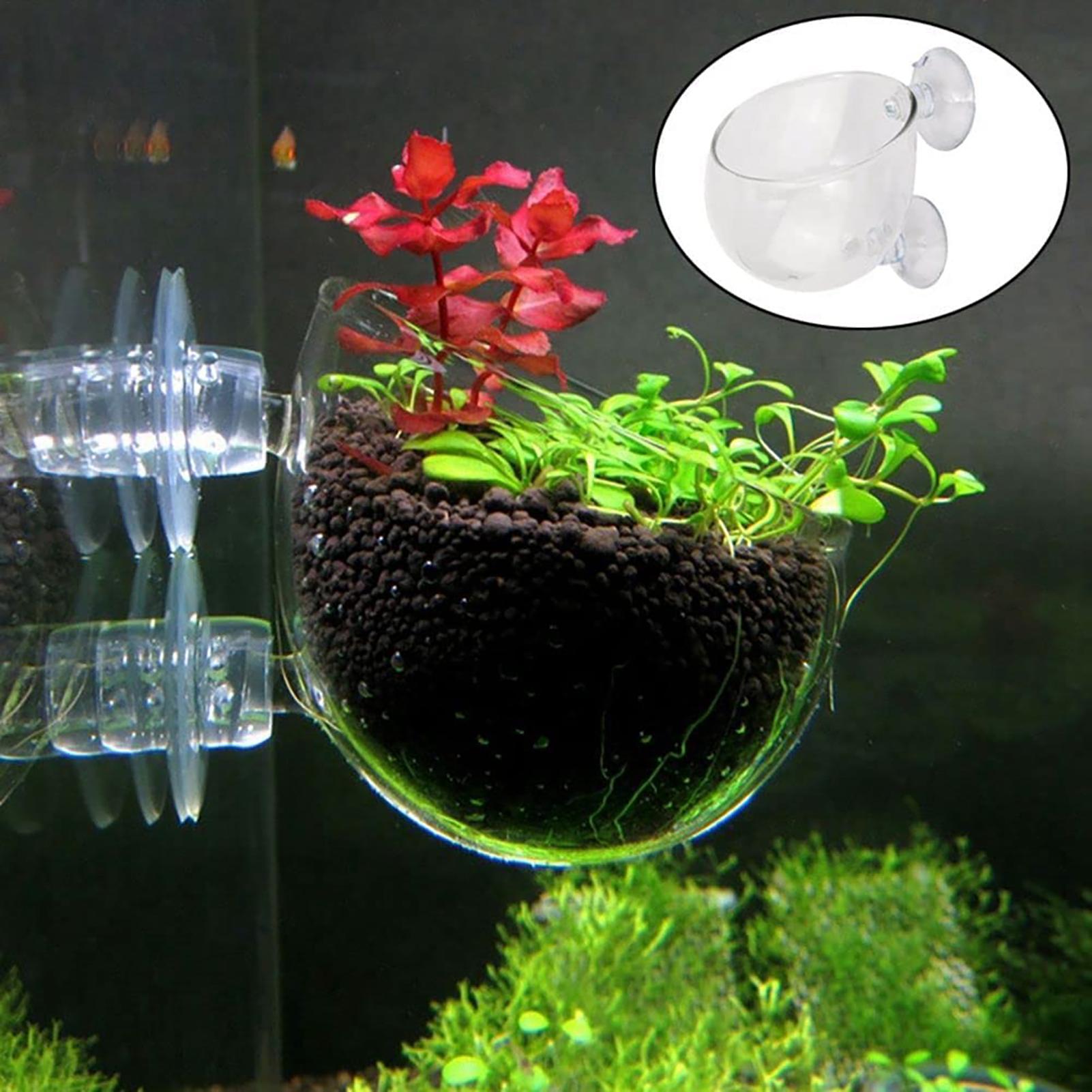 Кашпо для аквариумных растений – обзор и цена Aquarium Fish Beautiful