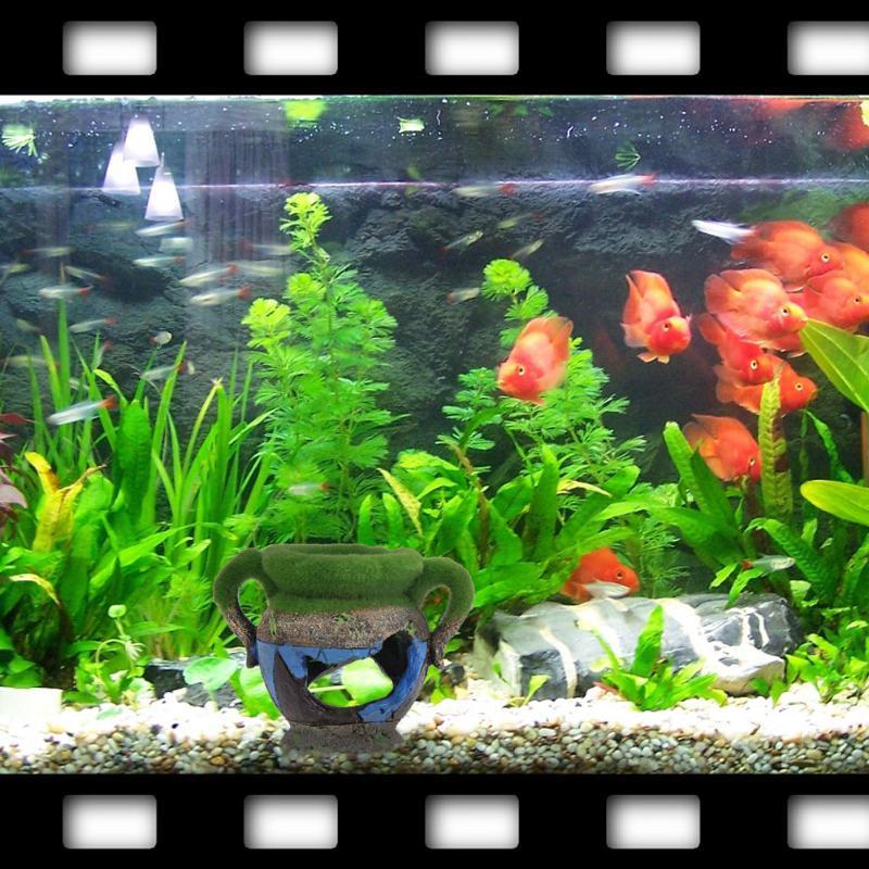 1 шт., ваза из смолы с мхом, а – обзор и цена Aquarium Fish Games