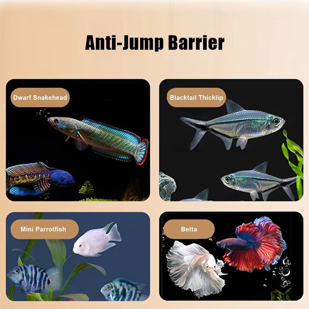 Прочная магнитная крышка для а – обзор и цена Aquarium Fish Jumping