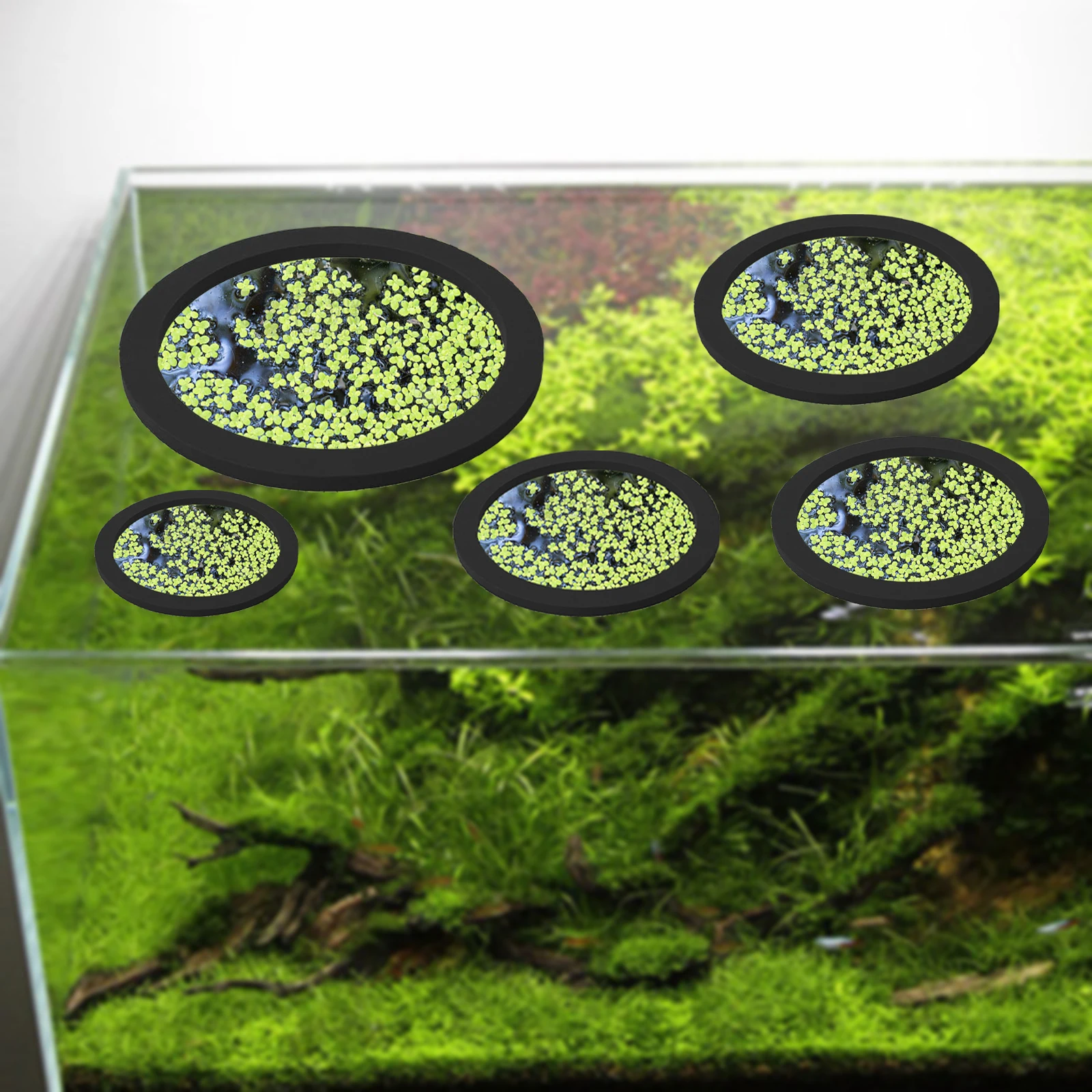 5 шт., кольцо для кормления ры – обзор и цена Aquarium Fish Bowl