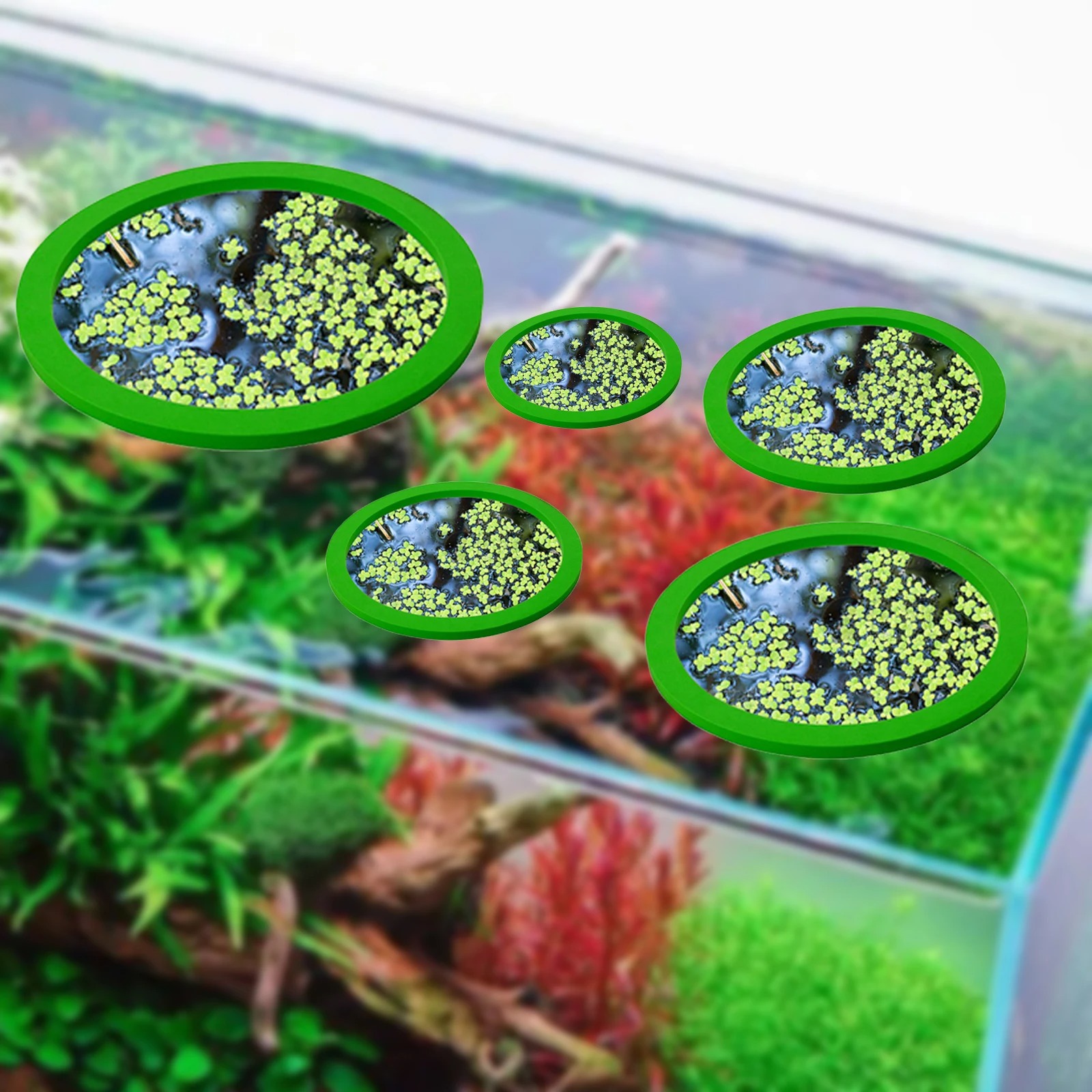 5 шт., кольцо для кормления ры – обзор и цена Aquarium Fish Bowl