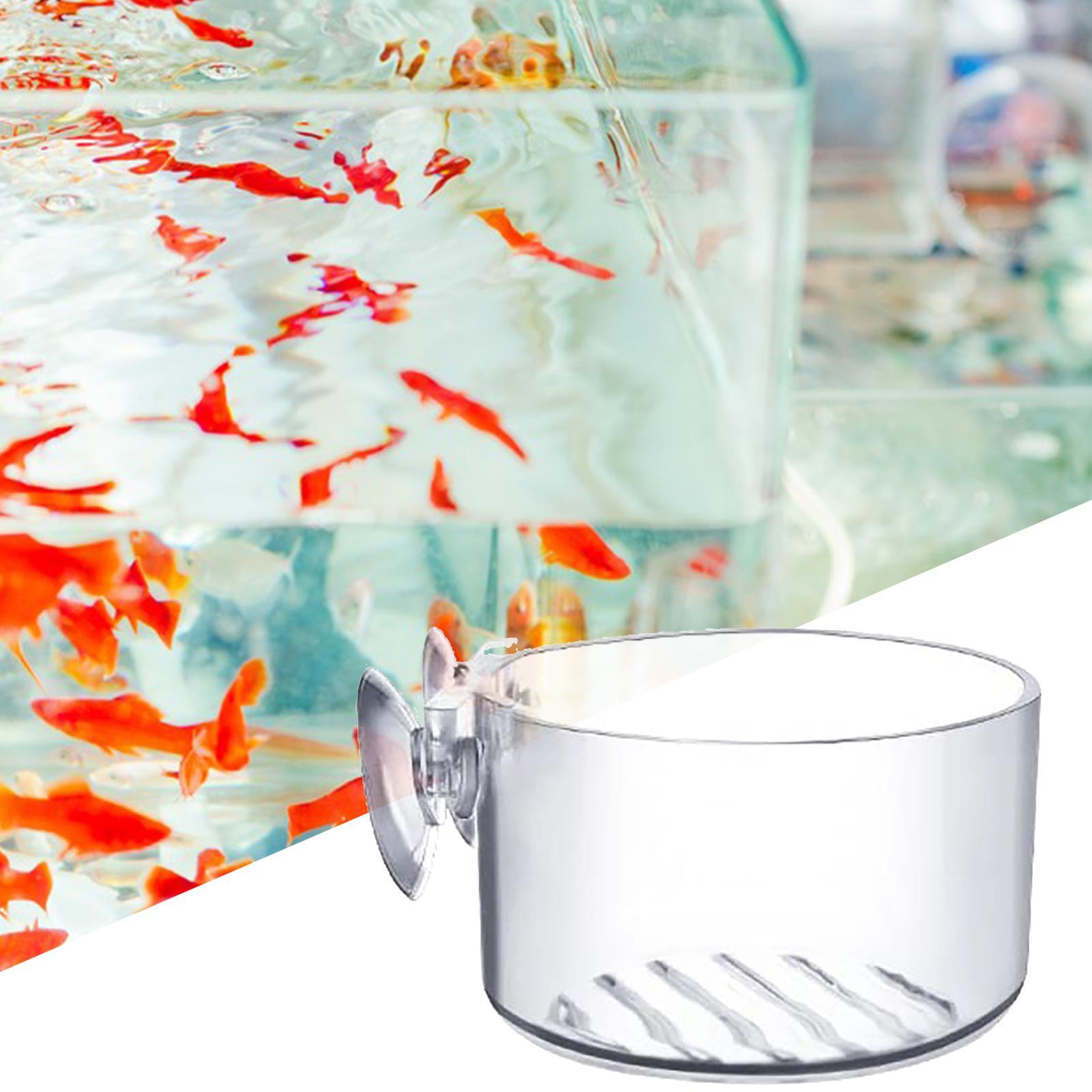 Акриловые держатели для аквари – обзор и цена Aquarium Fish Beautiful