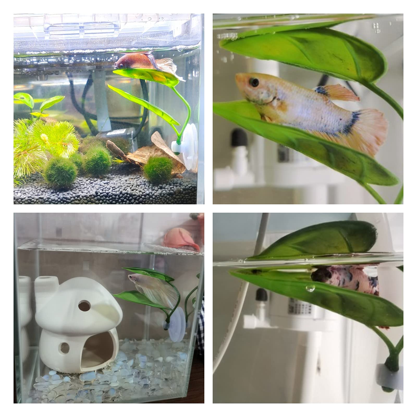 Декор для аквариума для домашн – обзор и цена Aquarium Fish Games