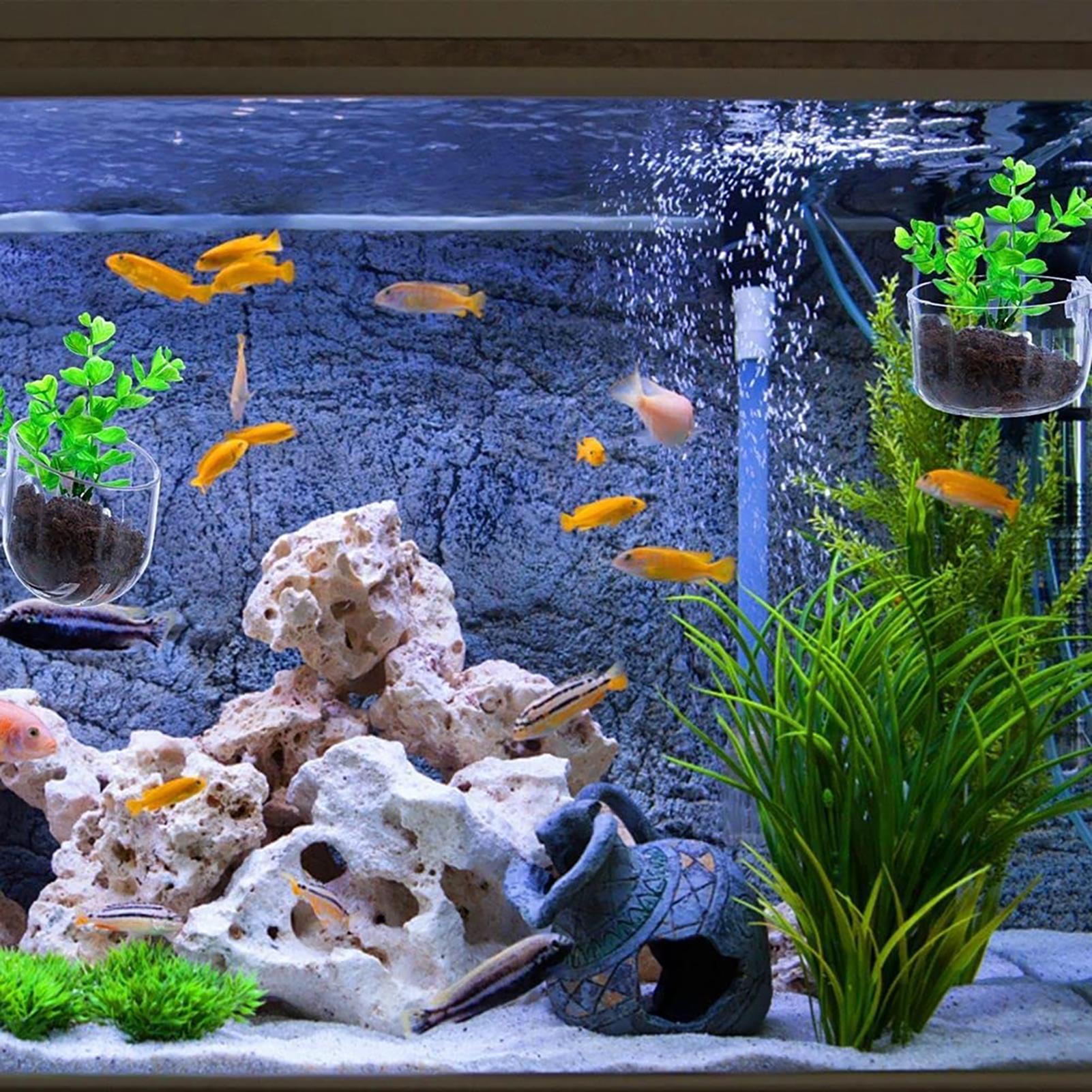 Держатель для растений в аквар – обзор и цена Aquarium Fish Beautiful