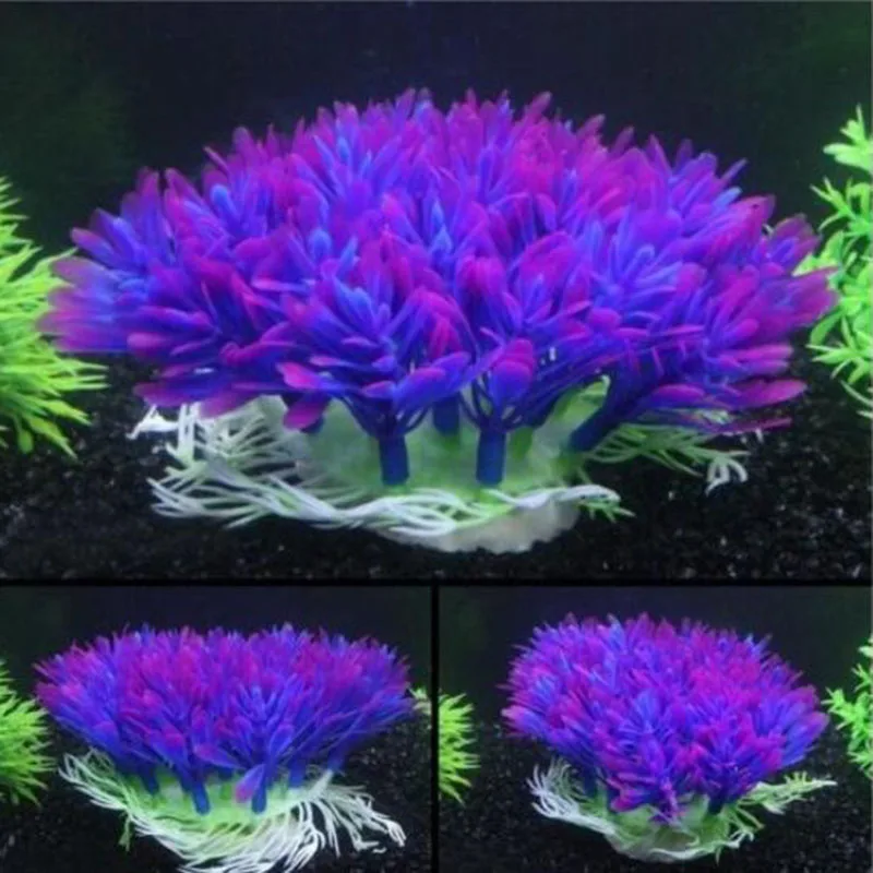Искусственные широкие короткие – обзор и цена Aquarium Fish Beautiful