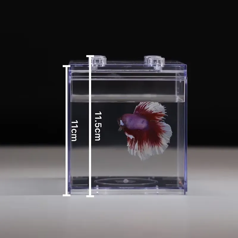 Мини-аквариум Relaxlines: наст – обзор и цена Aquarium Led Light