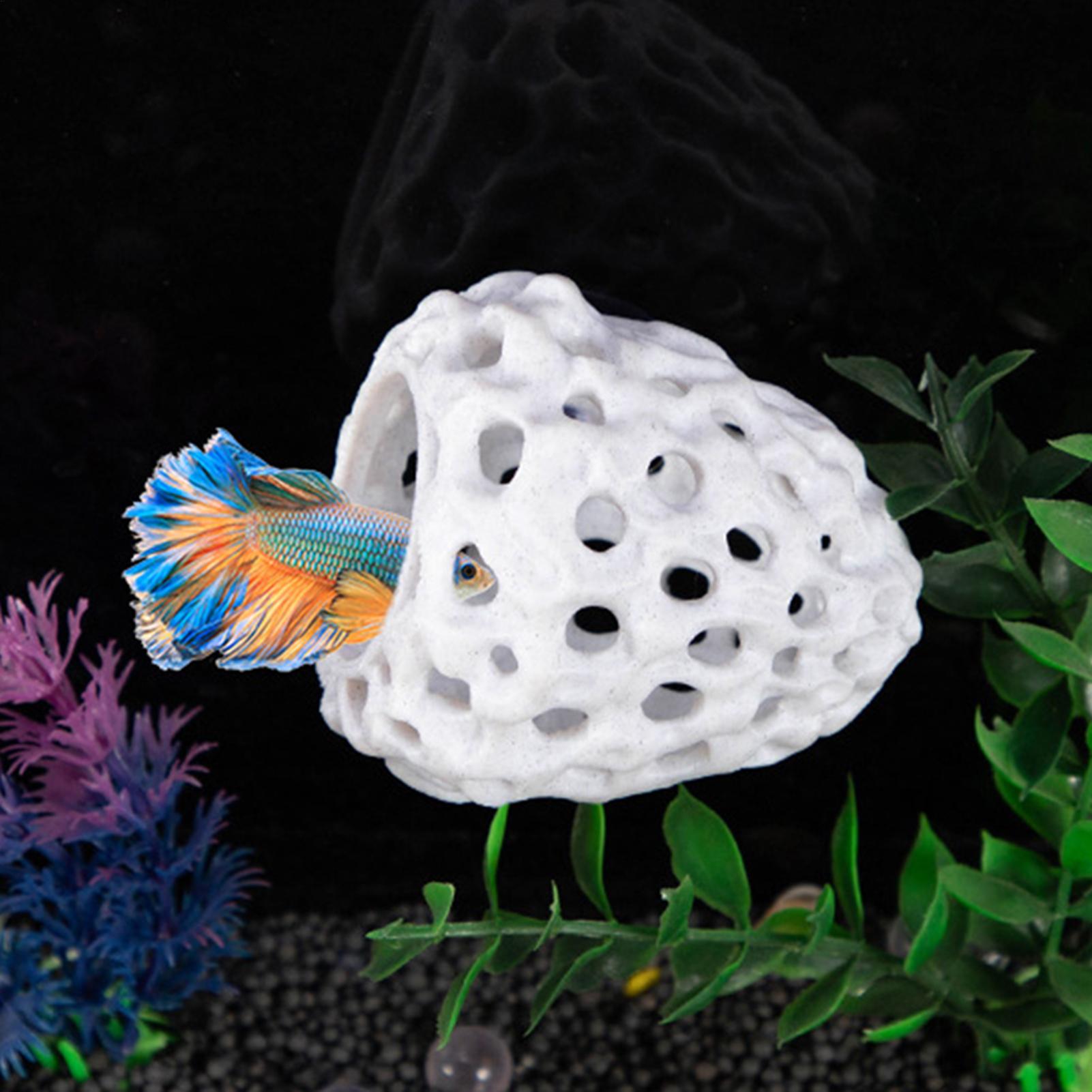 Аквариумный домик для креветок – обзор и цена Aquarium Fish Games