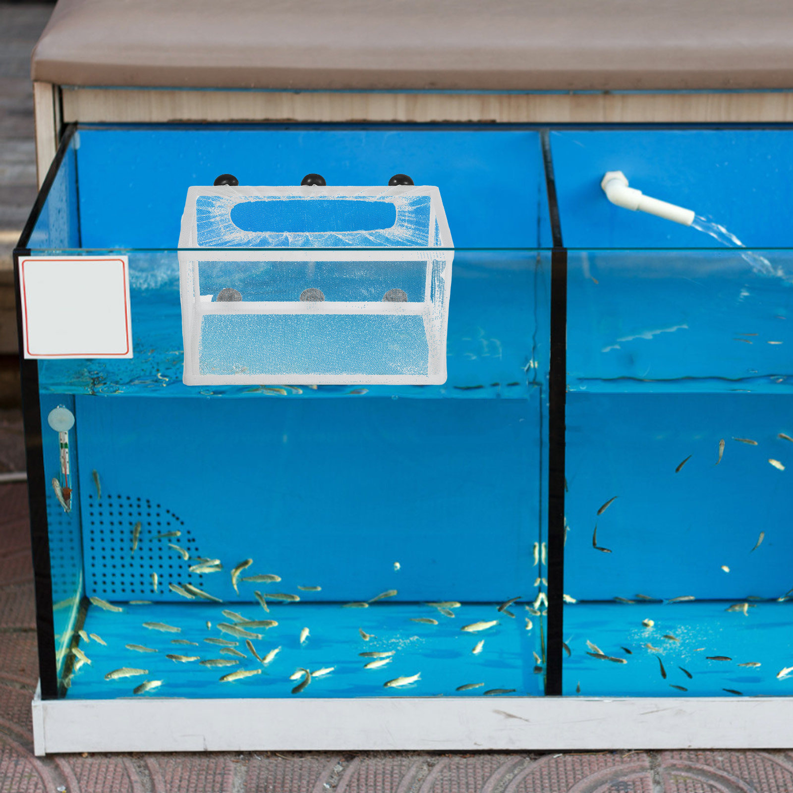 Рыболовная сеть большого разме – обзор и цена Aquarium Fish Net Big Size