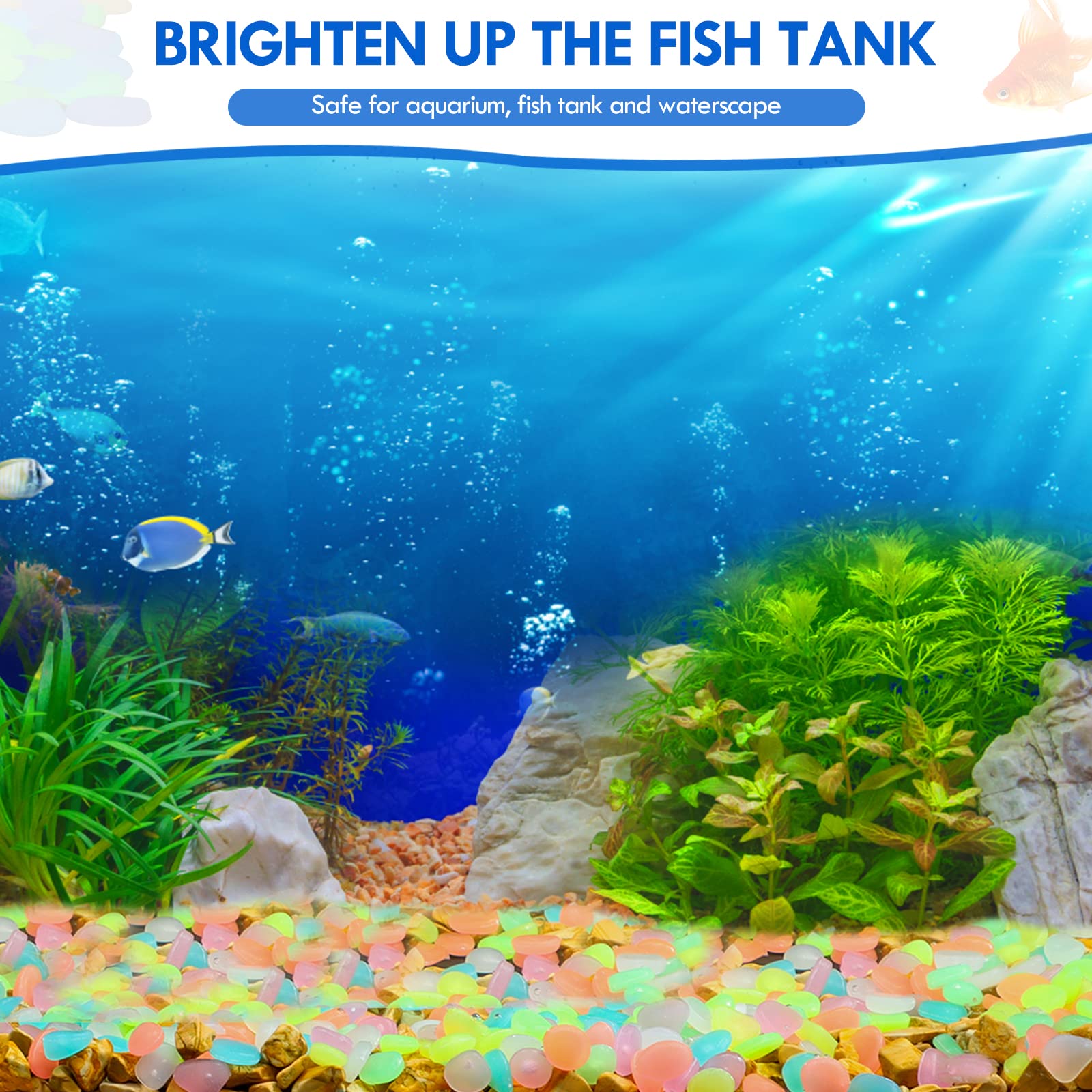 100 шт. светящиеся в темноте с – обзор и цена Aquarium Fish Saltwater