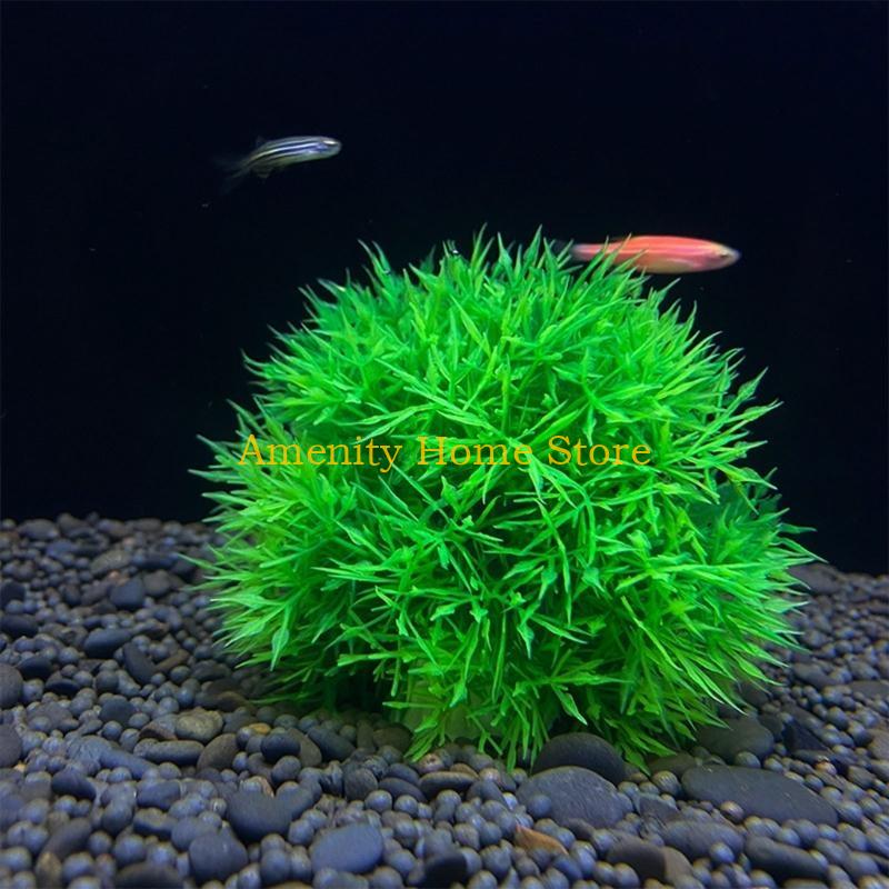 F26C Зеленый Искусственный Мар – обзор и цена Aquarium Fish Beautiful