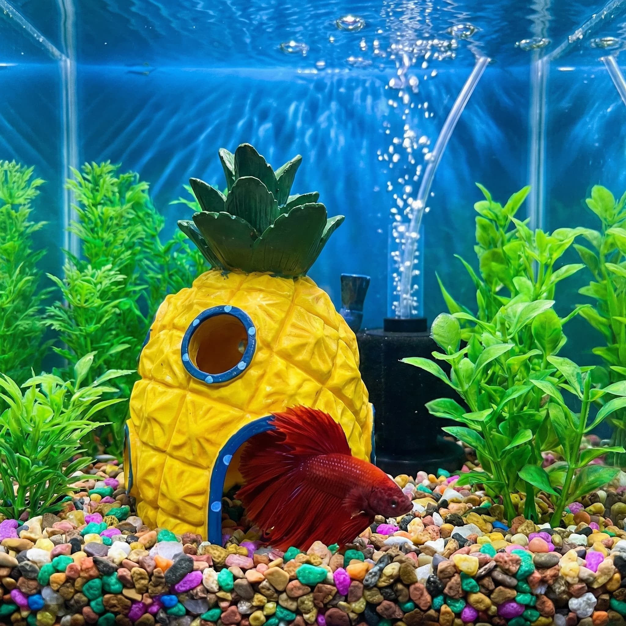 Декор для аквариума «Ананасовы – обзор и цена Aquarium Fish Games