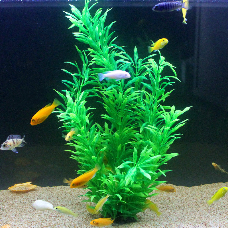 50 см искусственный аквариум р – обзор и цена Aquarium Fish Saltwater