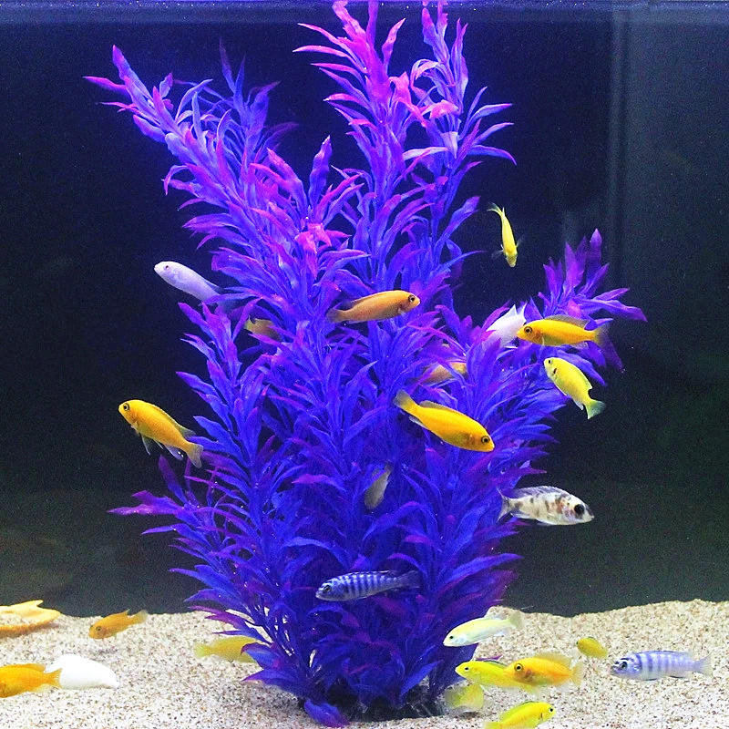 50 см искусственный аквариум р – обзор и цена Aquarium Fish Saltwater