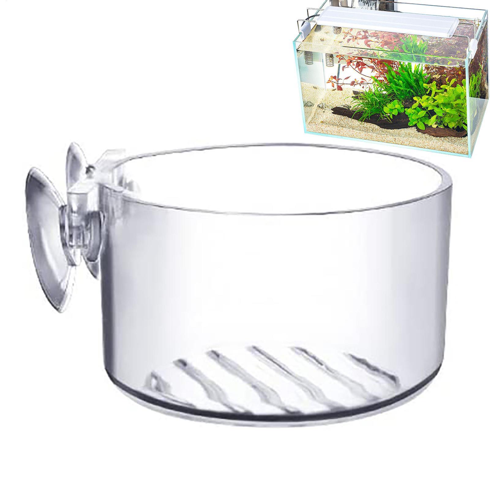 Акриловый стакан-горшок для ак – обзор и цена Aquarium Fish Beautiful