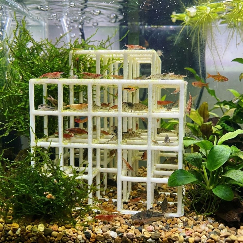 3D-печатное пластиковое укрыти – обзор и цена Aquarium Fish Games
