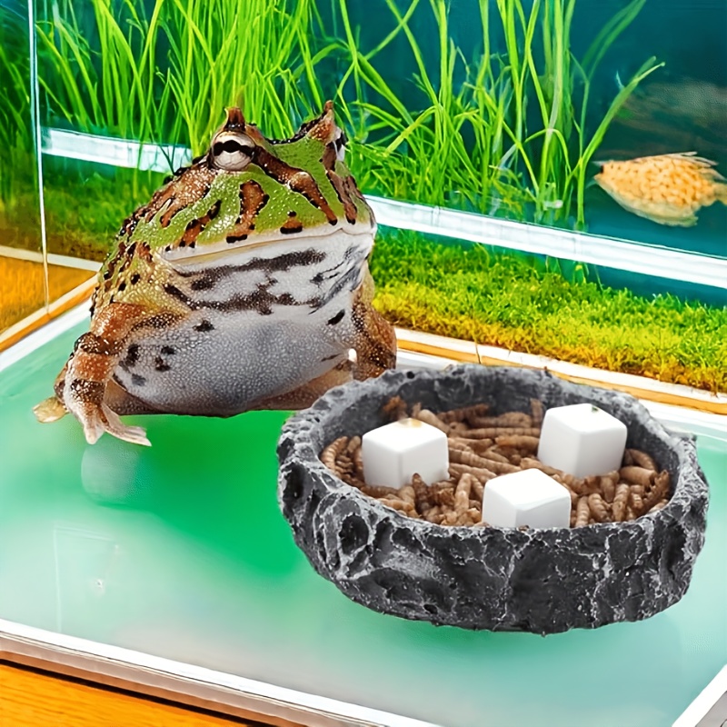 6 шт., аквариум, кальциевый бл – обзор и цена Aquarium Fish Games